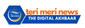 terimerinews.com