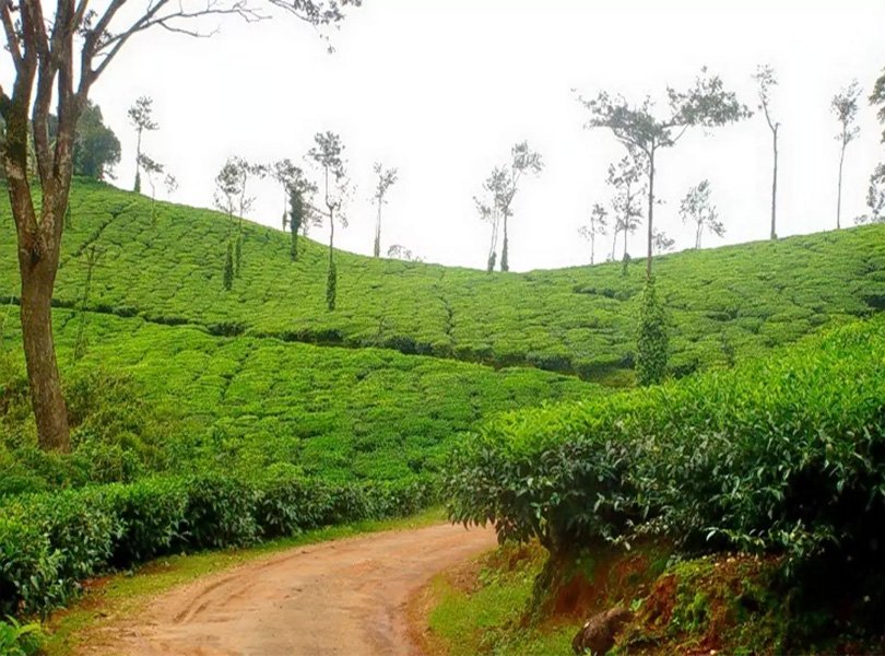best monsoon destinations 2026