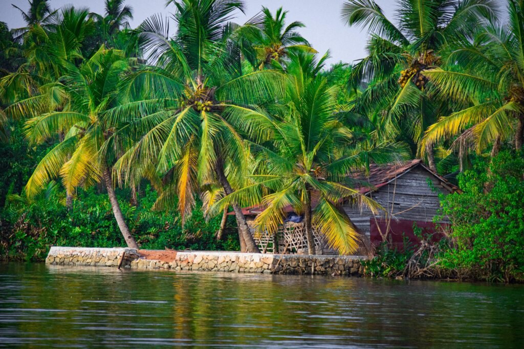 best monsoon destinations 2026